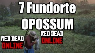 7 OPOSSUM Virgina Opossums Locations Red Dead Redemption 2 Deutsch / German