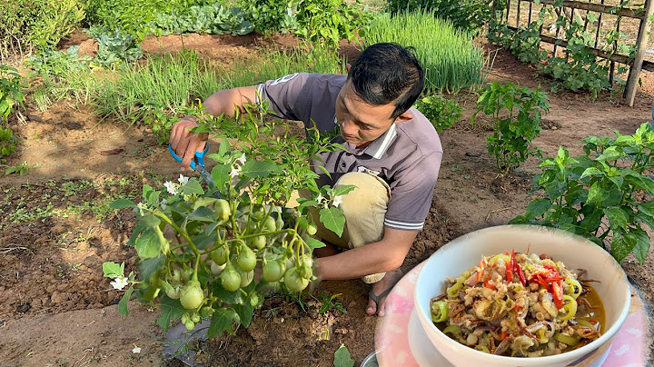 กระบวนการ ผล ต น ำจ ม พ นท ายนรส งห