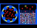 Elimination Race | 100 Countries Marble Race