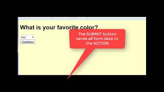 Web Publishing HTML Forms: Favorite Survey (In English)