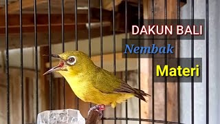 DAKUN BALI Pleci fishing rods shoot material