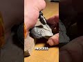 That's amazing
