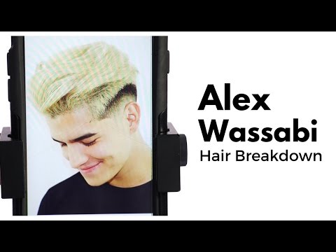 Alex Wassabi Hair Breakdown - TheSalonGuy