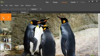Website Diary 48 - Gallery Widget