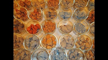 OpenHour: (Soil!) Stories from the Underground - March 2021 | Public Lab