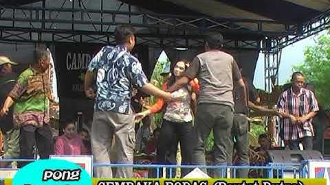 ULAR PUTIH - JAIPONG DANGDUT CEMPAKA BODAS MAJALENGKA DI PAMULIHAN BREBES