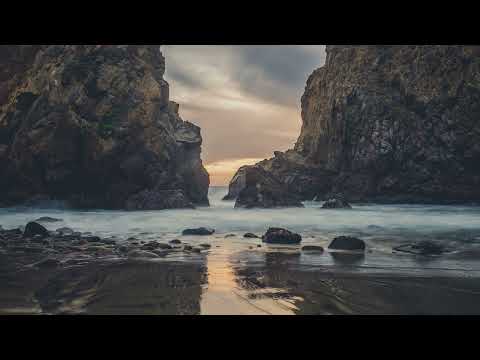 晚晚星河 - 麻辣仙人球