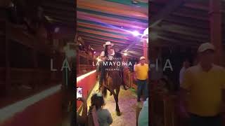 PAOLA URIBE MONTANDO CABALLO  EN RESTAURANTE LA MAYORIA