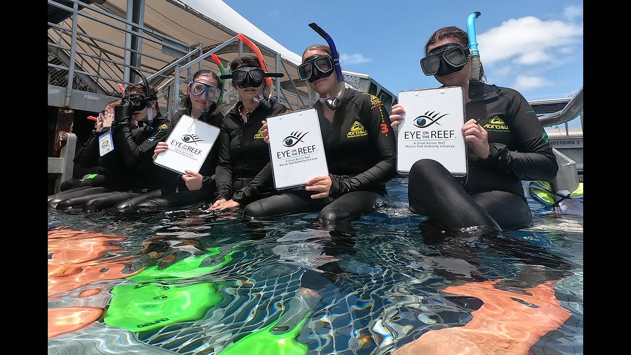 Year 11 Biology Reef Excursion