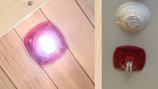 2025 Dorm Fire Alarm Test 6