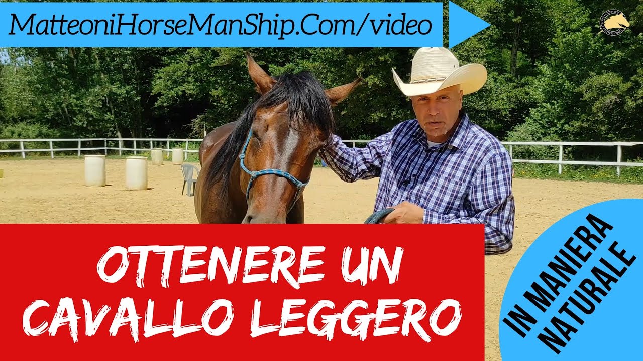 Il segreto per ottenere un cavallo leggero