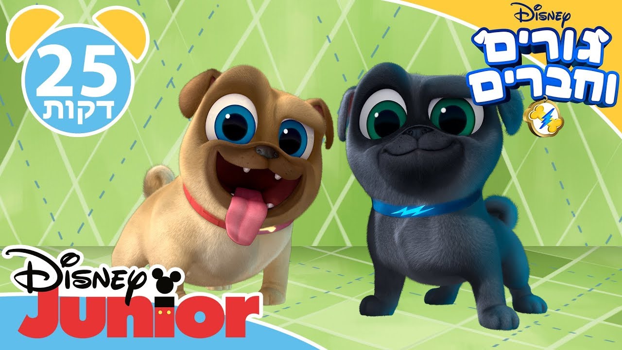 גורים וחברים | 25 דקות