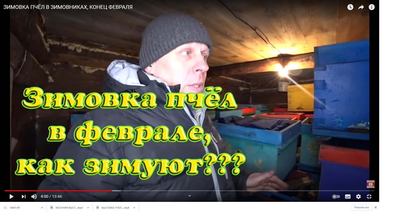 Солярис зимовники медцентр телефон