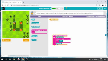 Code.org Kurs:4 Ders2 Labirent ve Arı