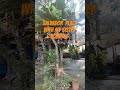 Wownice Salbador Place Shortvideo Wownice Salbador Place Shortvideo