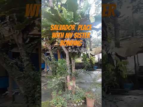 Wownice Salbador Place Shortvideo 