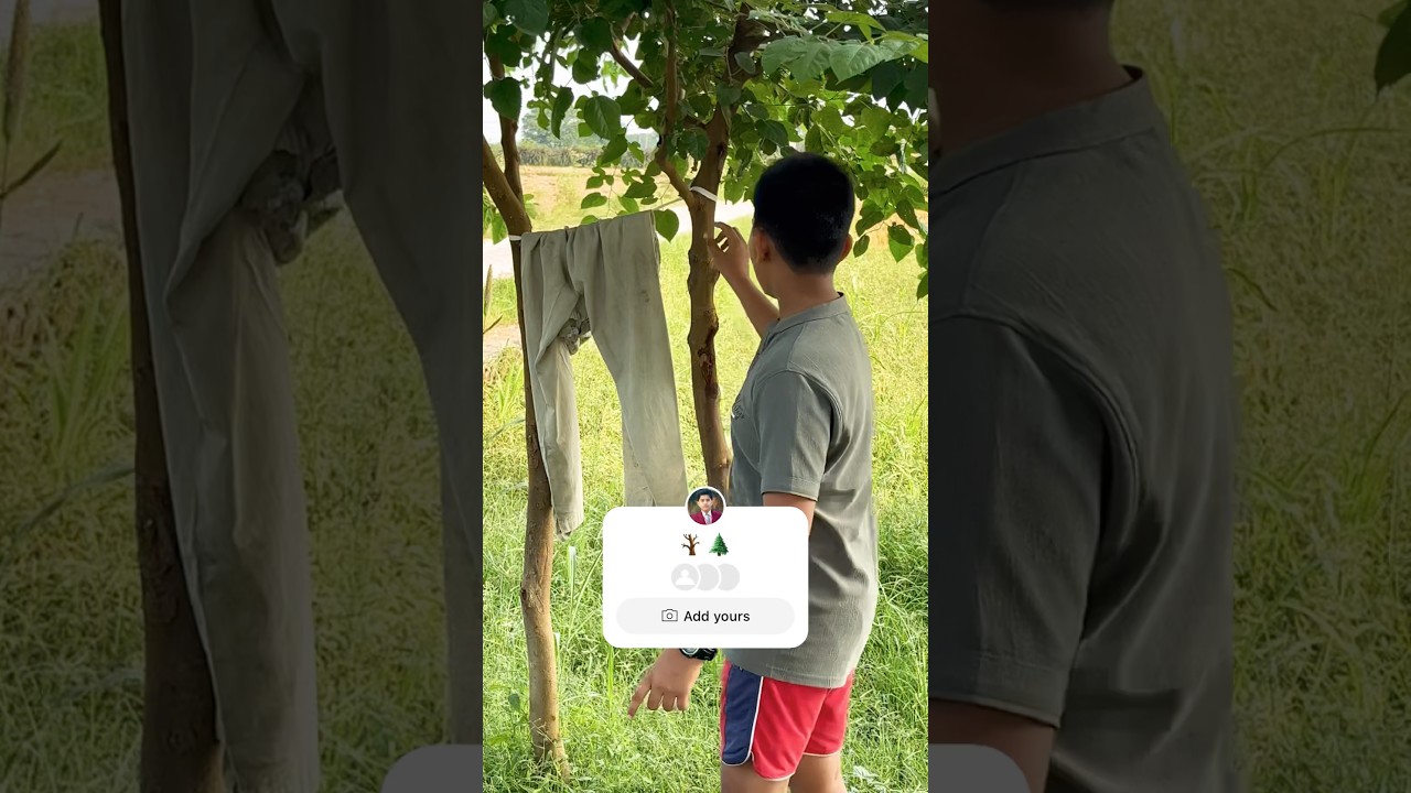 🌳Nodes and Internodes 🎋|| The Building Blocks of Plant Stems || 