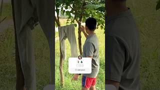 Nodes And Internodes The Building Blocks Of Plant Stems