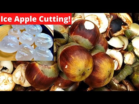 ICE APPLE Cutting Skill | PALMYRA FRUIT WATER!! | Indian Street Food Gulp