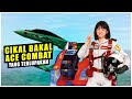Ace Combat 8 Rilis 2026? Game Dingdong Jadul Air Combat Adalah Buapaknya