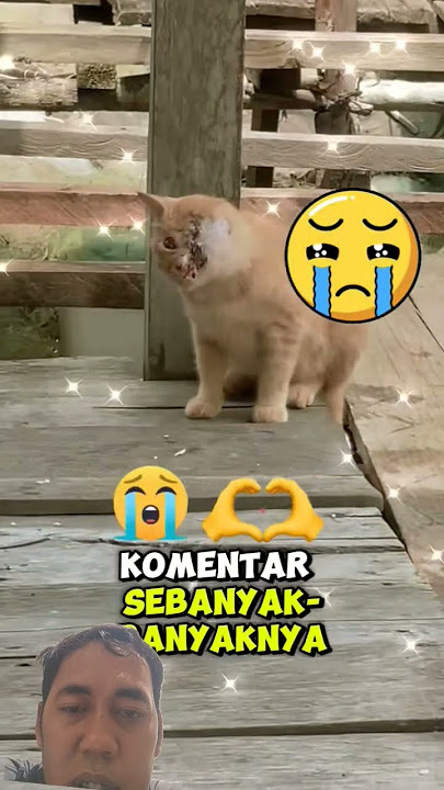 wanita perusak hubungan pasangan 🤬❗#viralvideo #shortvideo #funny #youtubeshorts #ytshorts #shorts
