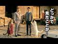 【ねこせいかつ】どっかで見たことが...|I've Seen him Somewhere...