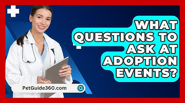 What Questions To Ask At Adoption Events? - PetGuide360.com