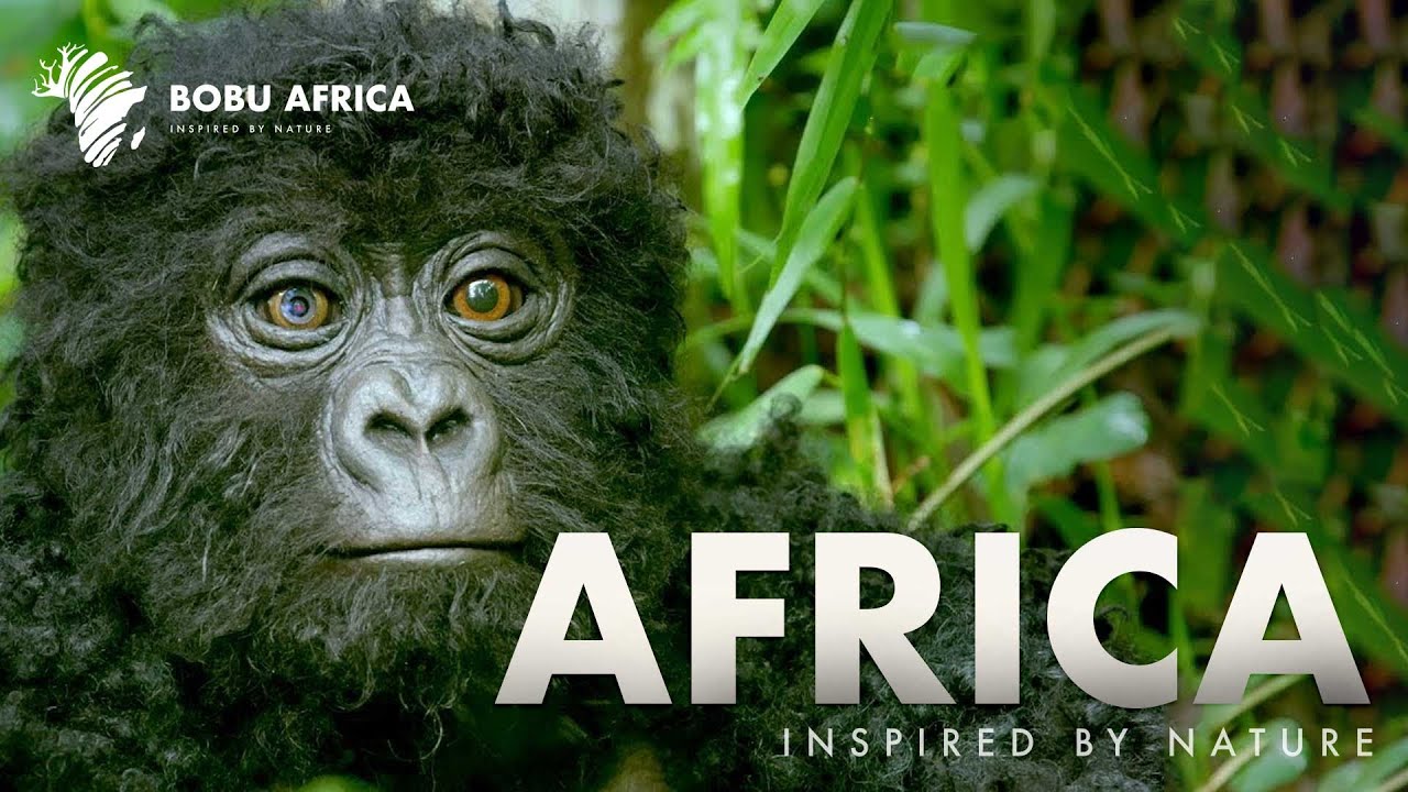 Top 10 Wildlife Documentaries About Africa YouTube