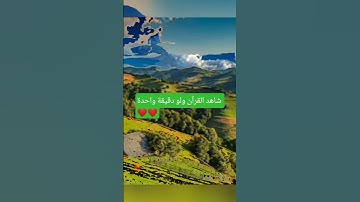 تلاوه خاشعه بصوت القارئ سعيد دباح❤️😌 سوره التوبه #المصحف