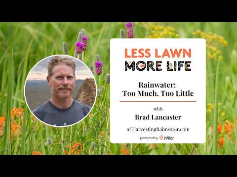 Too Much Water, Too Little: Rainwater Harvesting for Any Yard | Brad Lancaster [WEBINAR]
