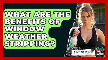 What Are The Benefits Of Window Weather Stripping? - Insects and Invaders