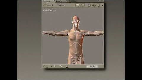 What is the Setup Room in Poser Software Interface?