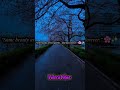 Rainy Tokyo. Cherry Blossom in Full Bloom in one Blue Hour.#japan#aesthetic#cinematic#vibes#tokyo