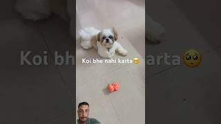Dog Funny Video 🤣🤣 #short2025 #shortvideo #viralvideo