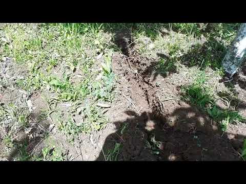 მიწის საჭრელი მანქანა