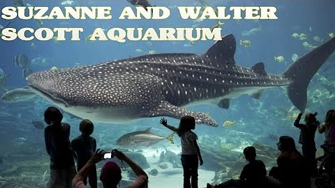 SUZANNE AND WALTER SCOTT AQUARIUM - USA | Largest ...