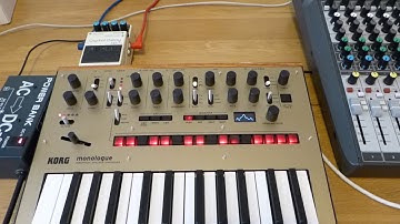 Korg Monologue & Boss DD3 Digital Delay