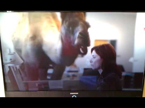 Geico Hump Day Commercial - YouTube