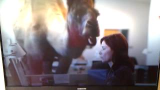 Geico Hump Day Commercial