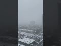 TorontoMorning59 #balcony #torontolife #canadadiaries#reelitfeelit #viral#reelkarofeelkaro #snowfall