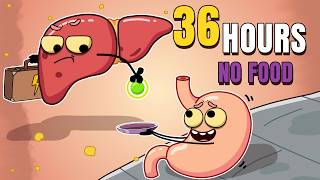 Your Organs when you fast for 36 Hours