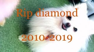 Rip diamond 2010-2019