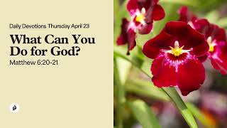 Famous What Can You Do for God? – Daily Devotional Wealth