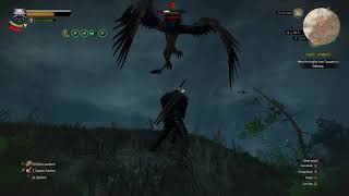 The Witcher 3: Wild Hunt on Xbox One S - Skellige Archgriffon level 48