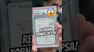 Dopo 6 mesi di attesa, Reshiram é tornato! 🇮🇹💸 Ancora non ci credo 🥹 #pokemon #psa