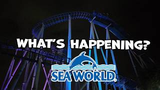 Sea World Gold Coast Visit & Update March 2026 during Carnivale!