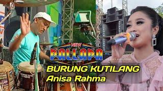 ANISA RAHMA_BURUNG KUTILANG(KHAYALANKU)NEW_PALLAPA