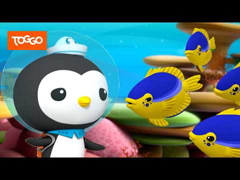 Die Oktonauten und die Riffbarsche & Die Oktonauten und der Kieferfisch | TOGGO