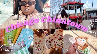 chicago chinatown shopping vlog + haul 🧋🌸🥟🐰