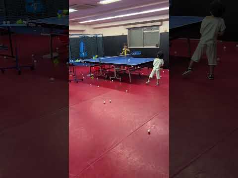 Table tennis brothers 20260918